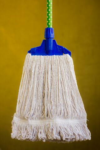 Cleaning mop